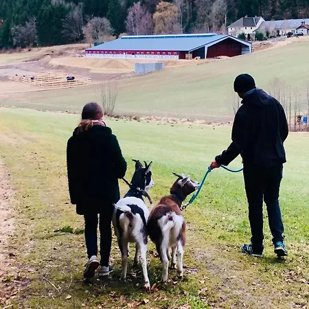 Am Sonnenhang- Urlaub Am Bauernhof Lejlighed Sankt Thomas am Blasenstein